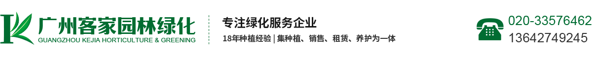 北京网库信息技术股份有限公司